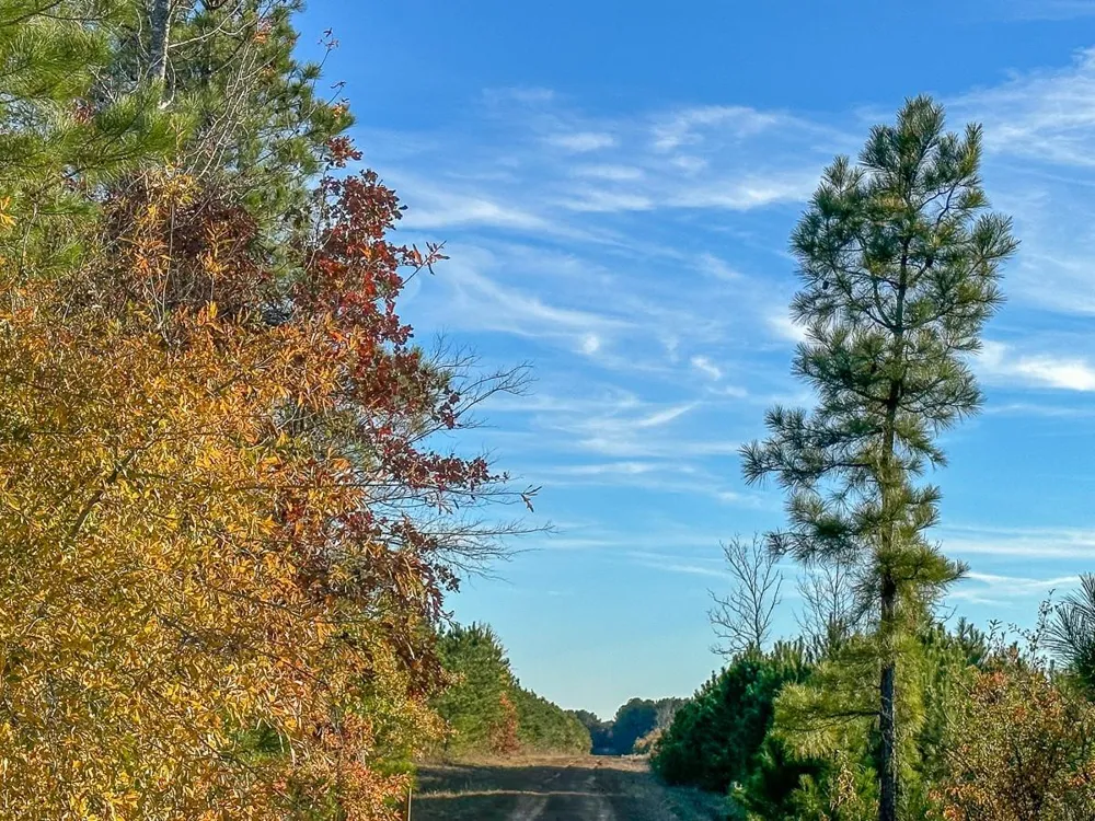 Fm 2120 Bagwell, TX 75426