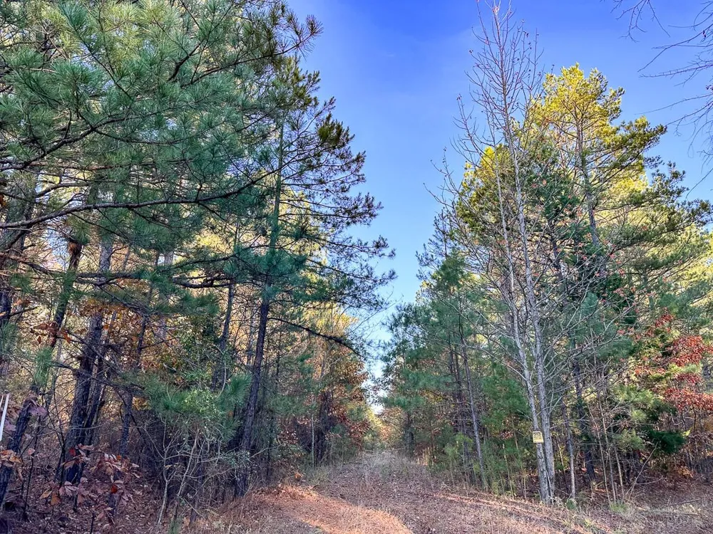 Fm 2120 Bagwell, TX 75426