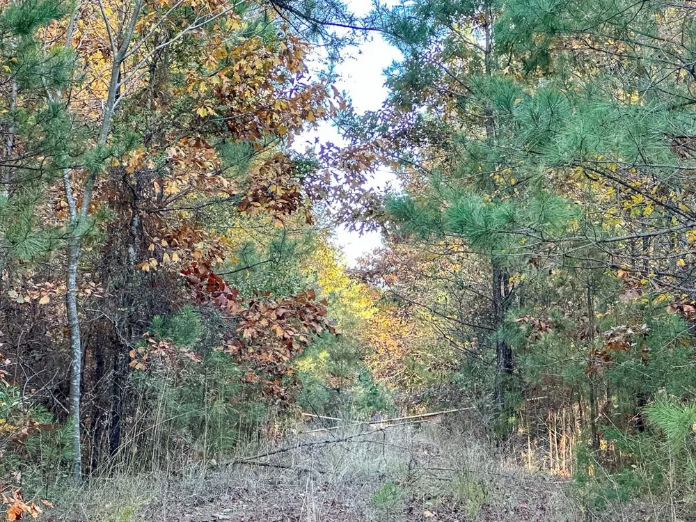 Fm 2120 Bagwell, TX 75426