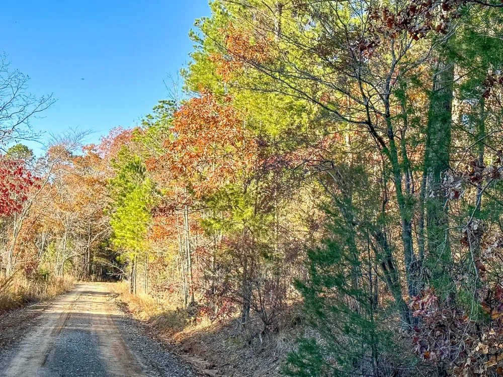 Fm 2120 Bagwell, TX 75426