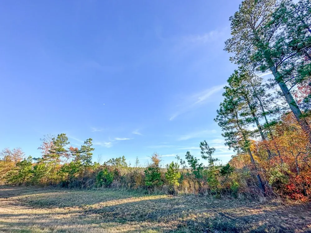 Cr 2108 Bagwell, TX 75426