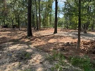 33102 Octavia Drive Magnolia, TX 77354