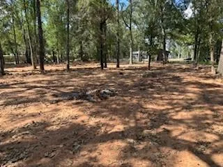 33102 Octavia Drive Magnolia, TX 77354