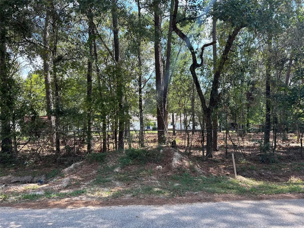 33102 Octavia Drive Magnolia, TX 77354
