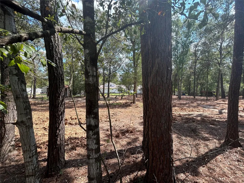 33102 Octavia Drive Magnolia, TX 77354