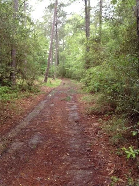 1800 County Road