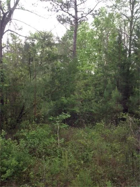 1800 County Road Goodrich, TX 77335