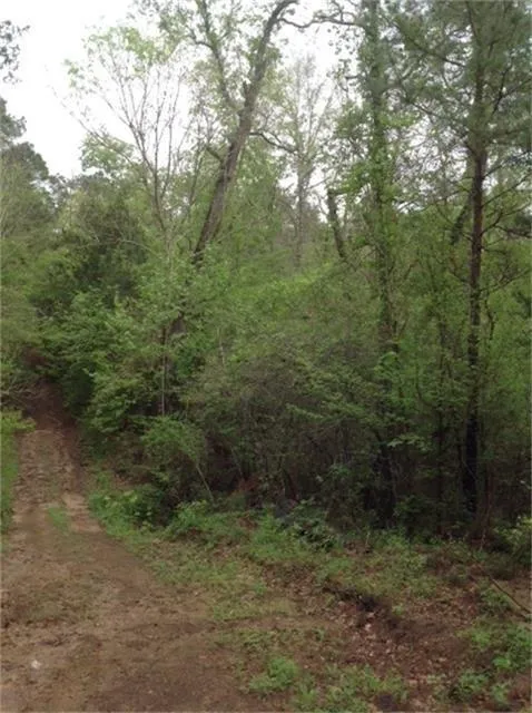 1800 County Road Goodrich, TX 77335