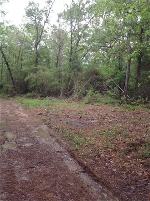 1800 County Road Goodrich, TX 77335