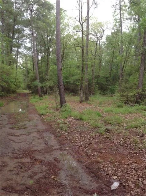 1800 County Road Goodrich, TX 77335
