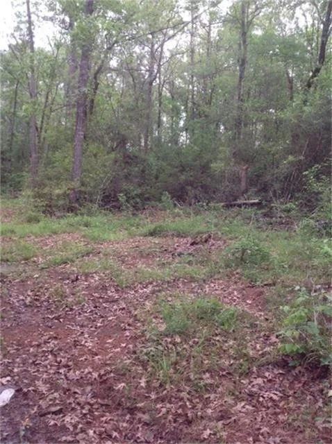 1800 County Road Goodrich, TX 77335