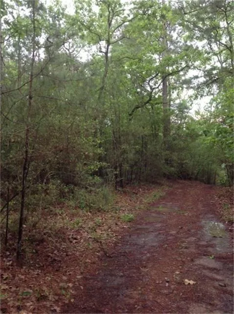 1800 County Road Goodrich, TX 77335