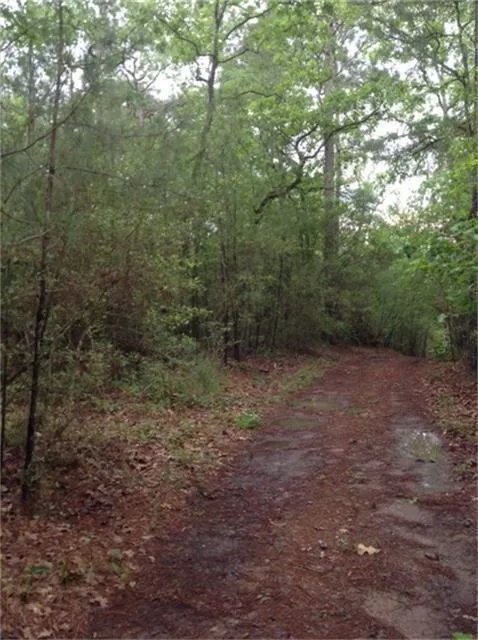 1800 County Road Goodrich, TX 77335