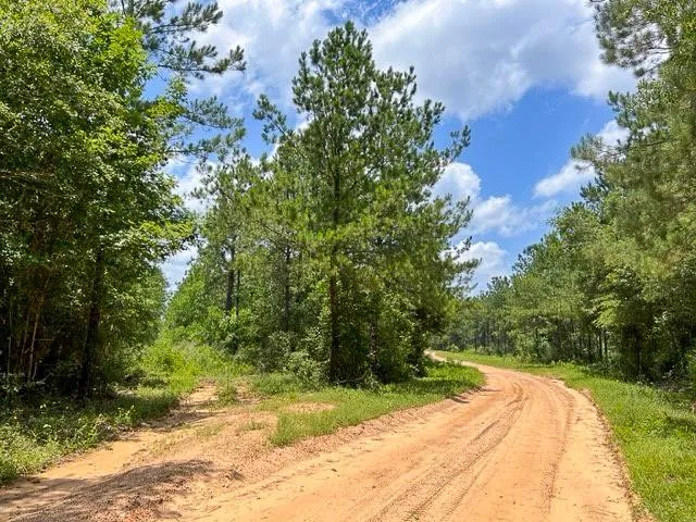 County Road 1425 Warren, TX 75979