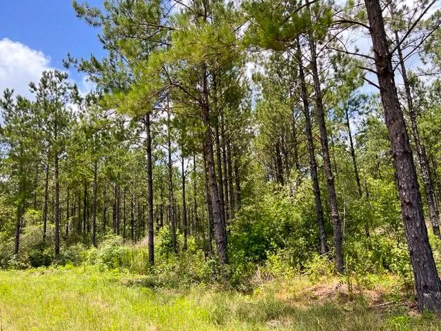 County Road 1425 Warren, TX 75979