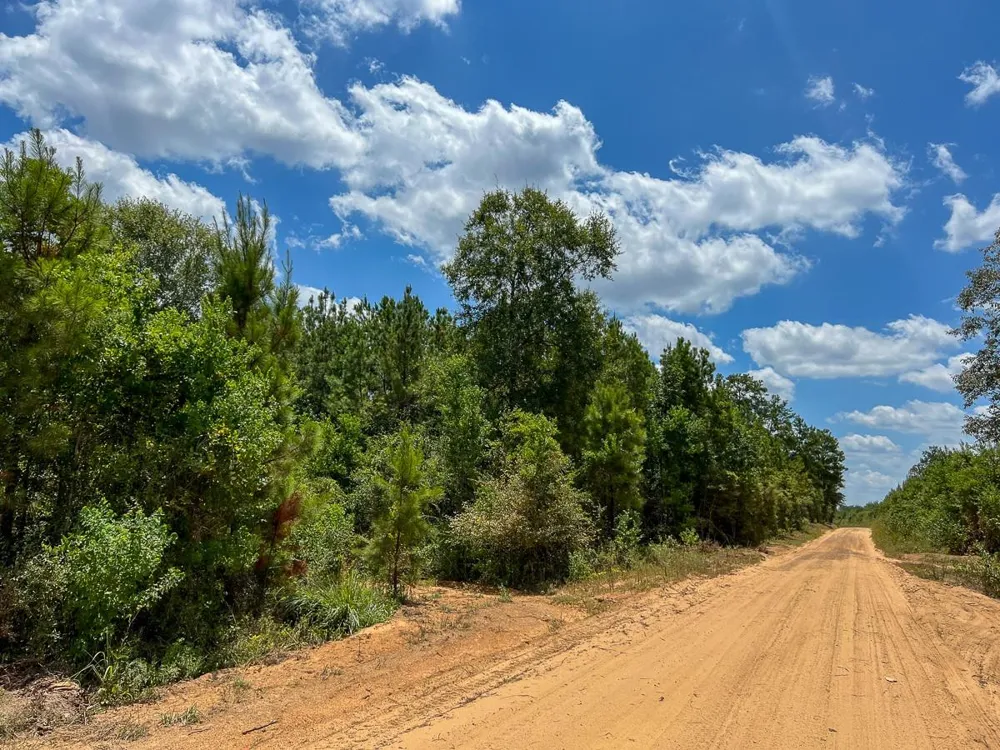 2 County Road 1420 Warren, TX 77664