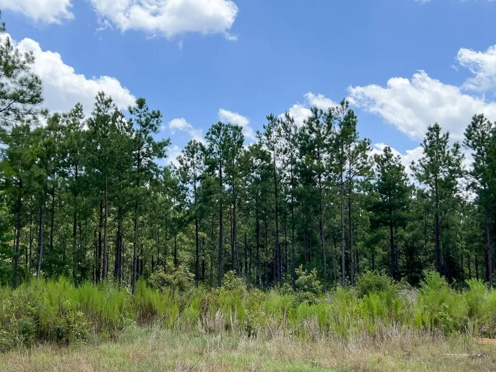 3 County Road 1420 Warren, TX 77664