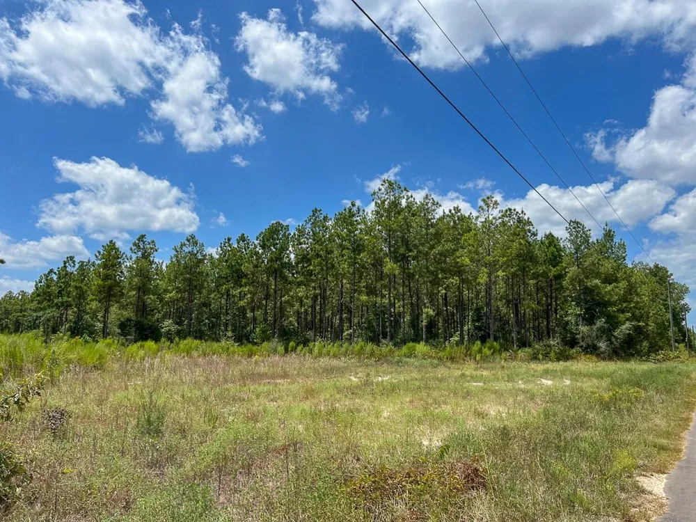 3 County Road 1420 Warren, TX 77664