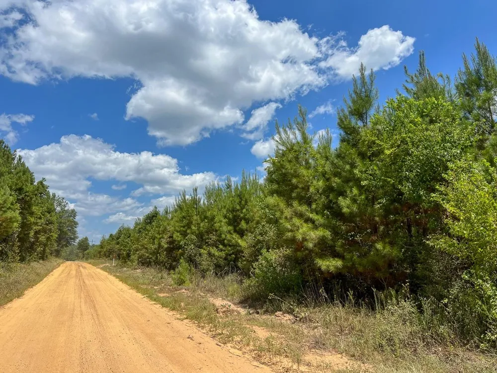 1 County Road 1420 Warren, TX 77664