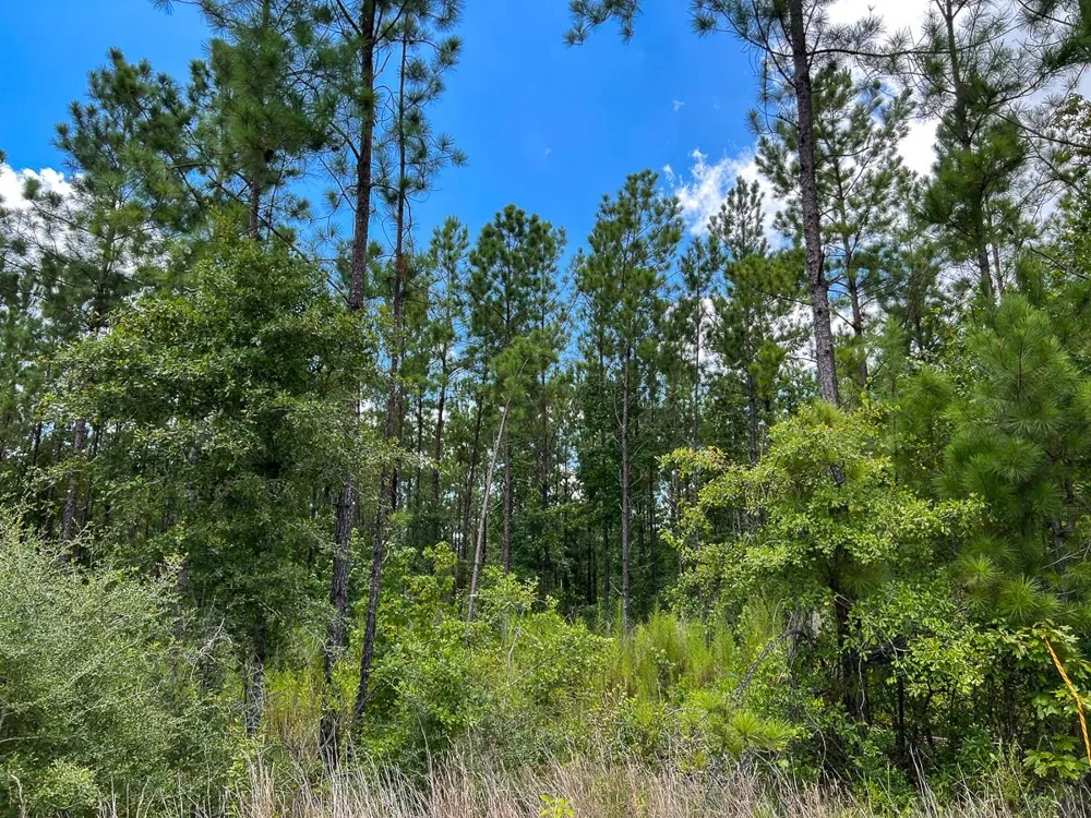 1 County Road 1420 Warren, TX 77664