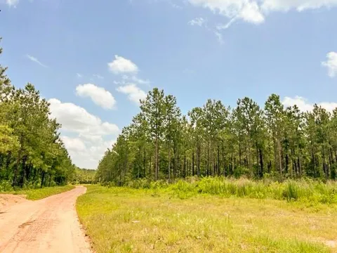 County Road 1425