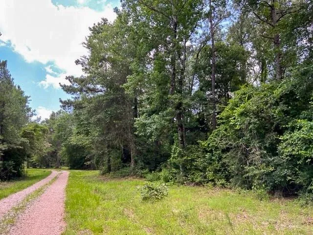 County Road 1425 Warren, TX 75979