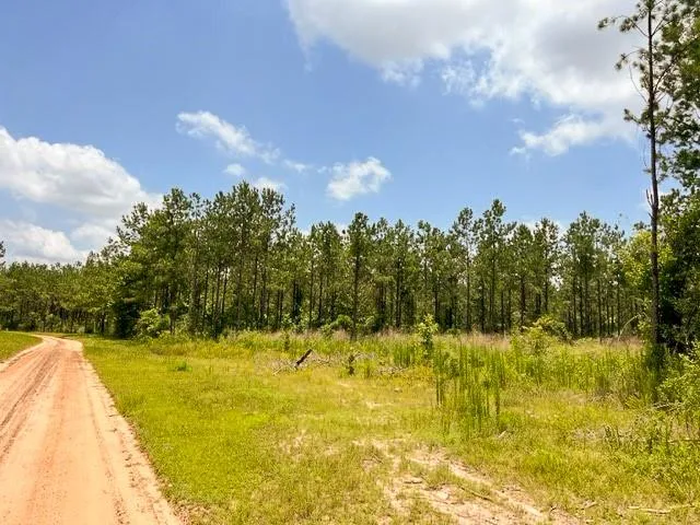 County Road 1425 Warren, TX 75979