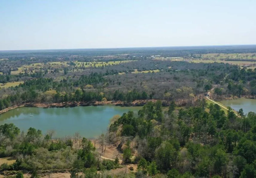 97 Pr 1315 Centerville, TX 75833