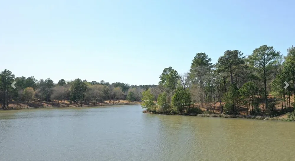 97 Pr 1315 Centerville, TX 75833