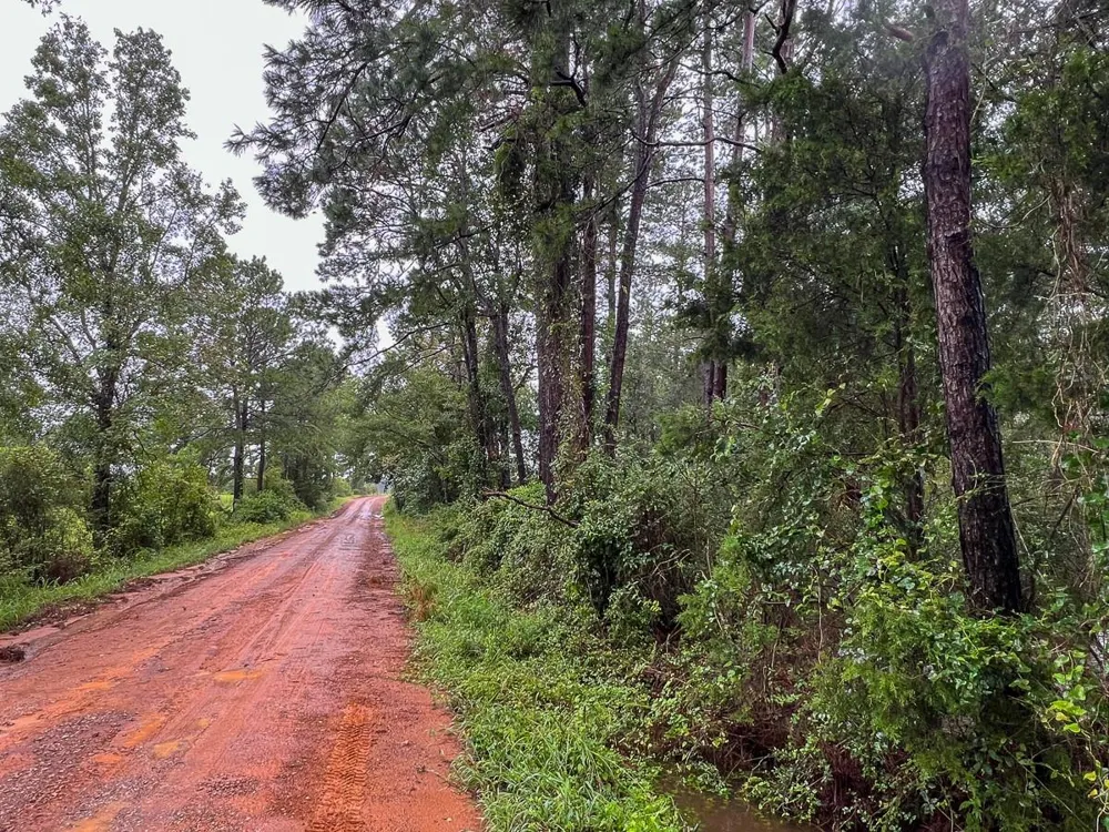 1 Fm 1276 Dallardsville, TX 77351