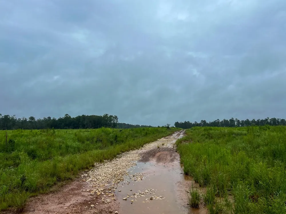 1 Fm 1276 Dallardsville, TX 77351