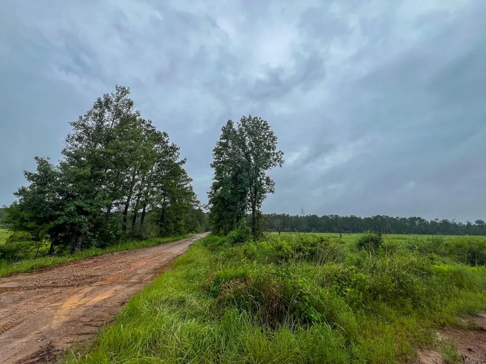 1 Fm 1276 Dallardsville, TX 77351
