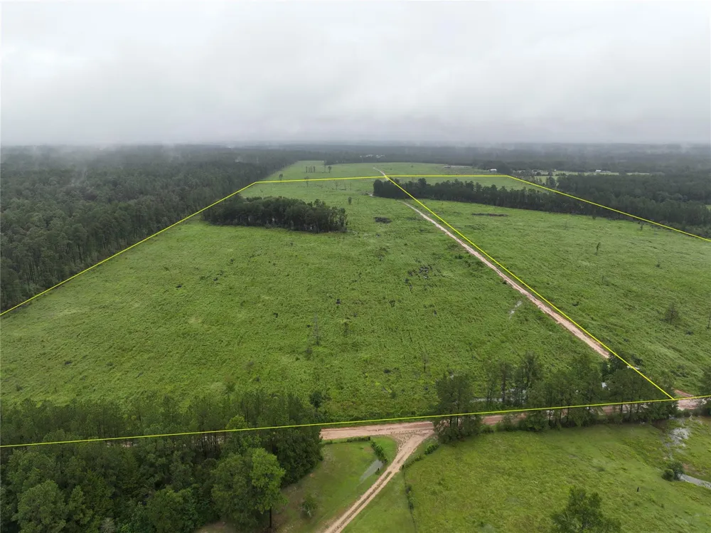 6 Sunflower Road Dallardsville, TX 77351
