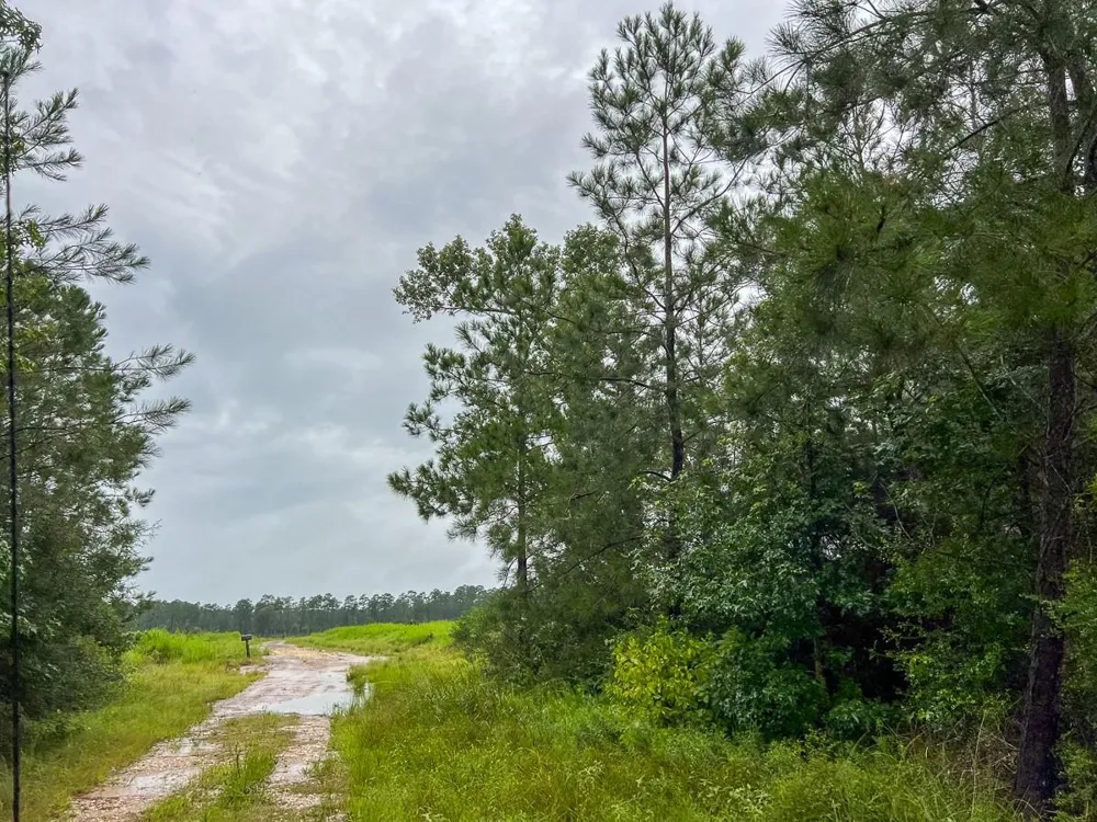 6 Sunflower Road Dallardsville, TX 77351