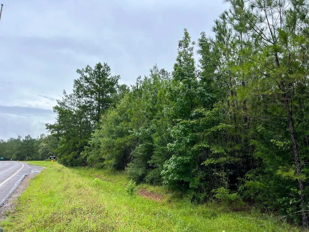 6 Sunflower Road Dallardsville, TX 77351