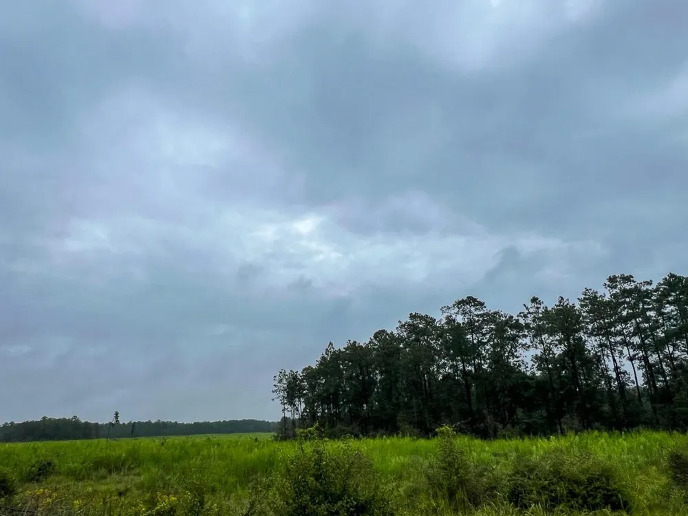 6 Sunflower Road Dallardsville, TX 77351
