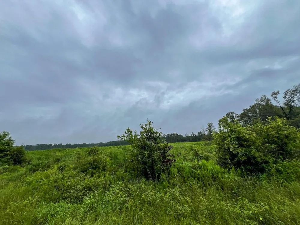 2 Fm 1276 Dallardsville, TX 77351