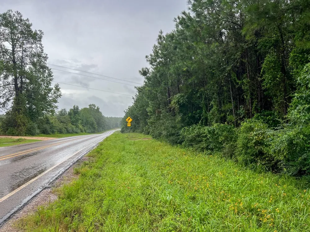 3 Fm 1276 Dallardsville, TX 77351