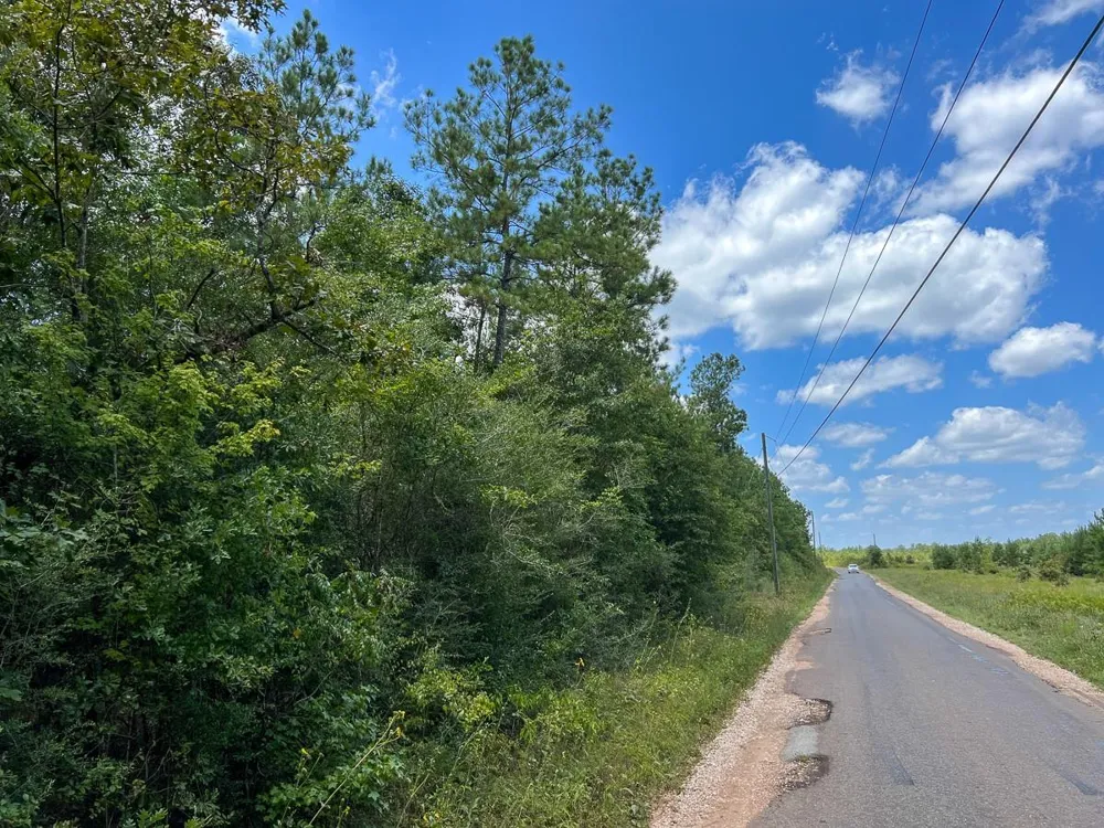 County Road 1420 Warren, TX 77664