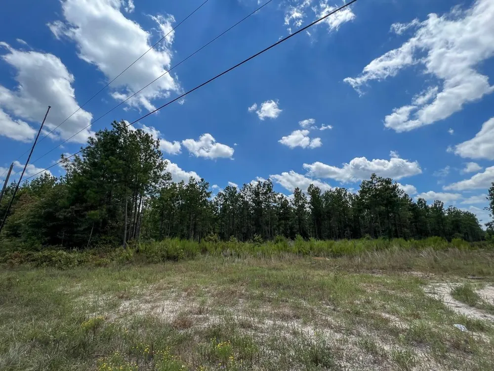 County Road 1420 Warren, TX 77664