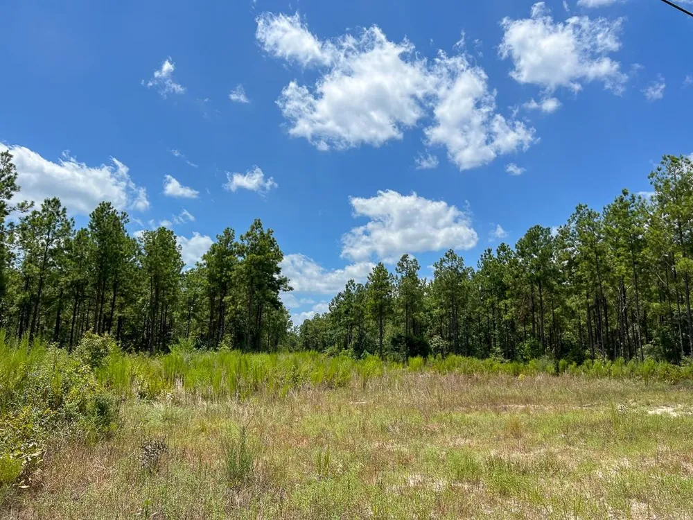 County Road 1420 Warren, TX 77664