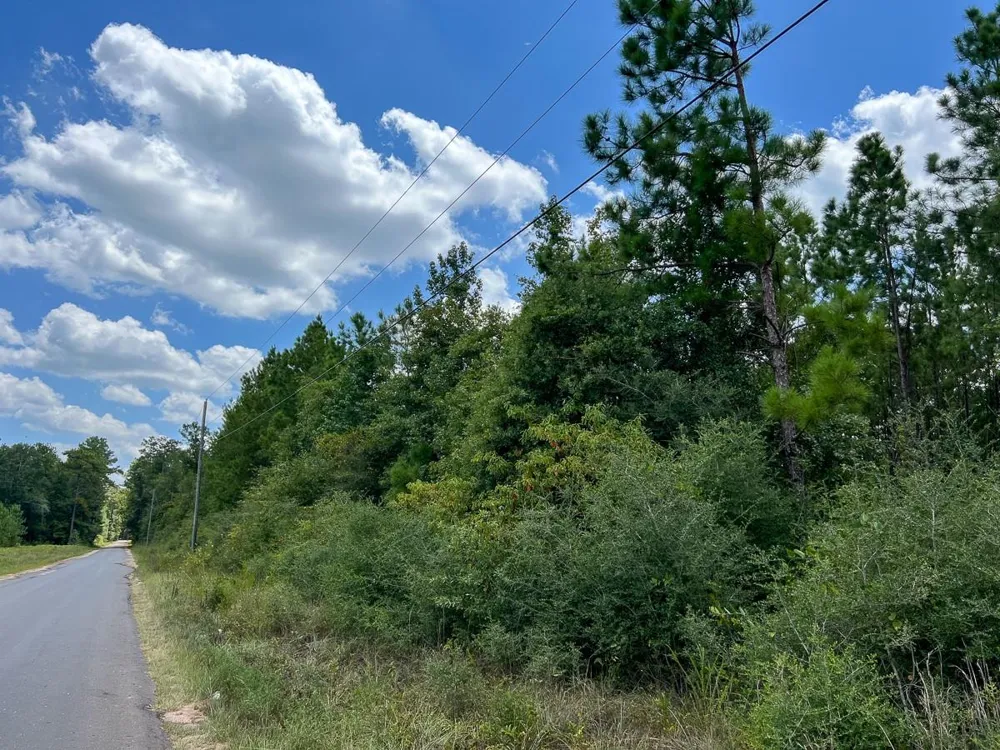 County Road 1420 Warren, TX 77664