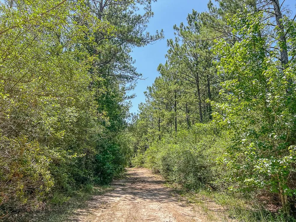 1 Cr 364 Zavalla, TX 75980