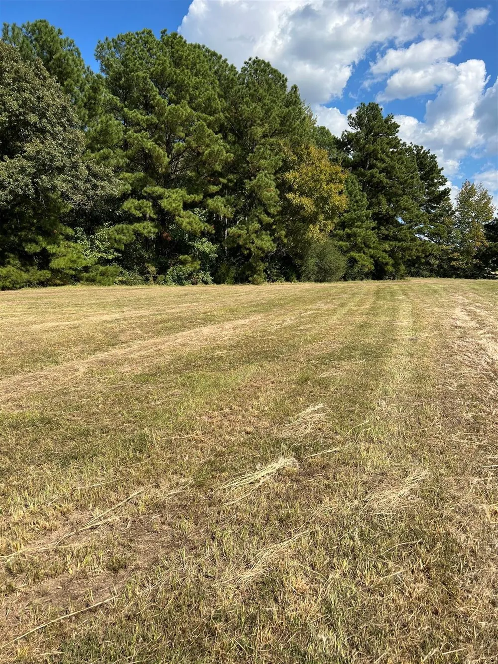 Acie Rhodes Road Marshall, TX 75670