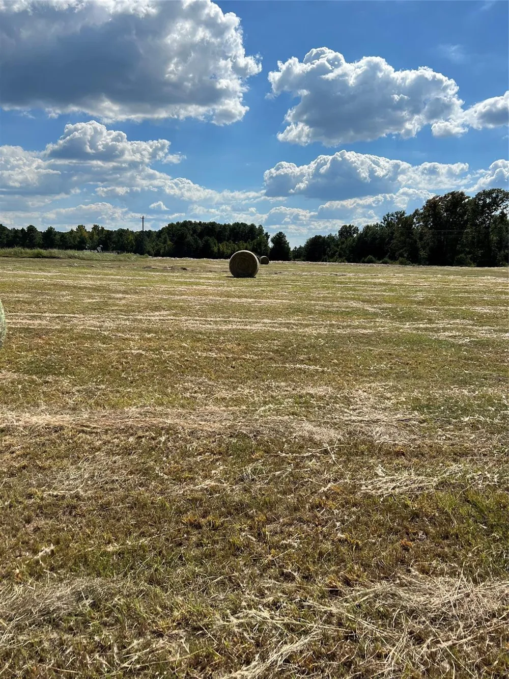 Acie Rhodes Road Marshall, TX 75670