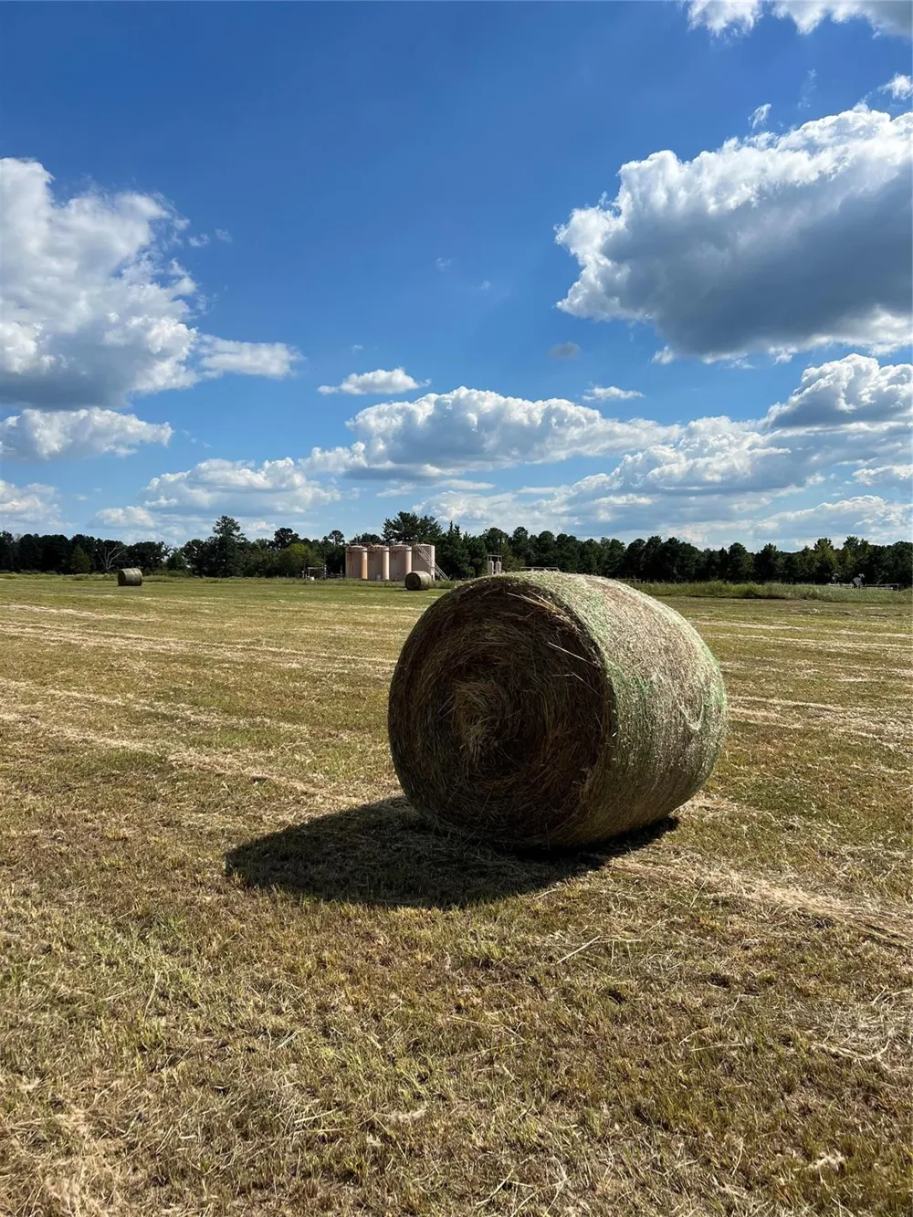 Acie Rhodes Road Marshall, TX 75670