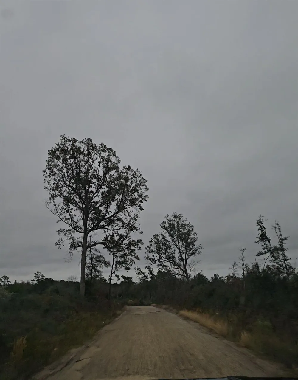 County Road 310 Jasper, TX 75951