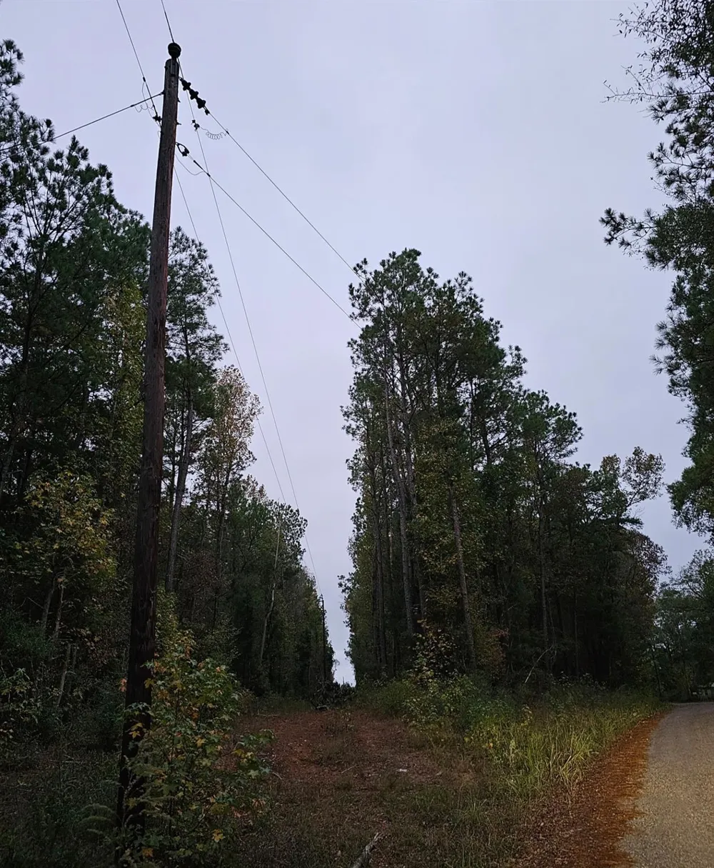 County Road 310 Jasper, TX 75951