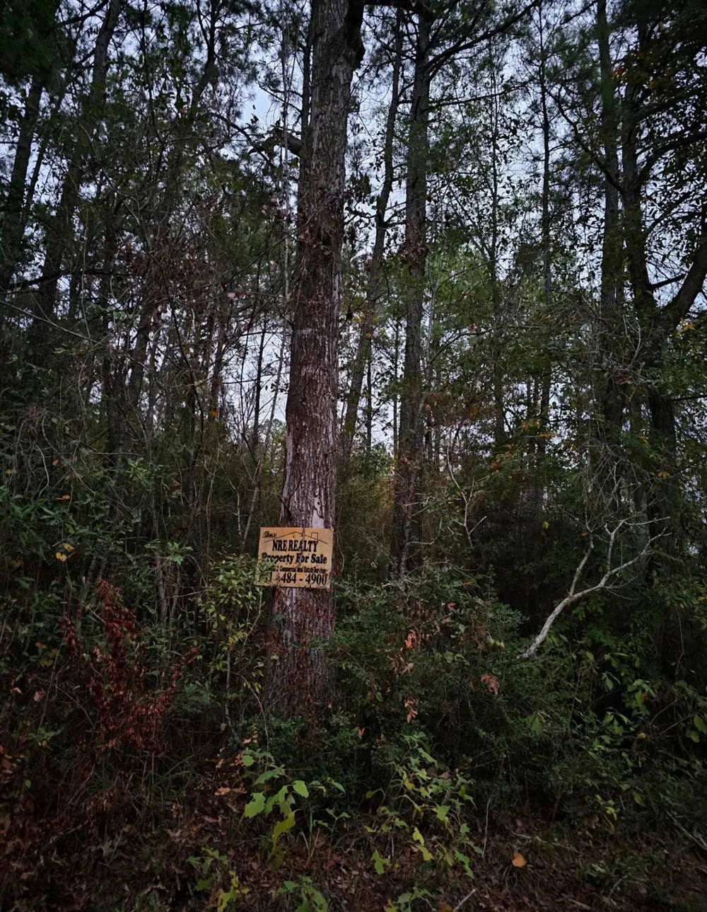 County Road 310 Jasper, TX 75951