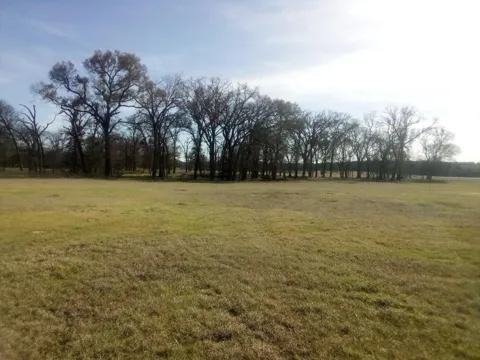 87 County Road 231
